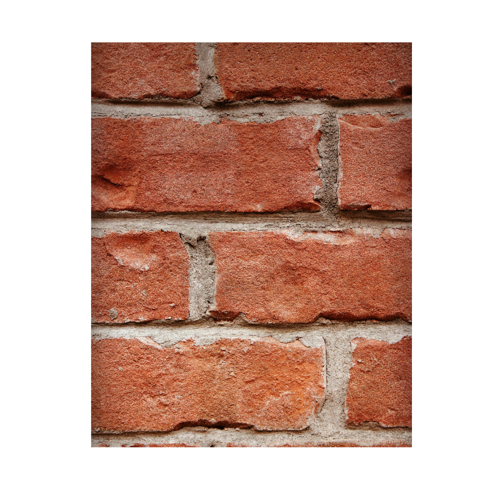 Arbortech Allsaw - repairing bricks and mortar